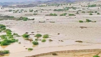 عباس شراقي: انهيار سد أربعات يهدد قرى سودانية بالفيضانات والعقارب