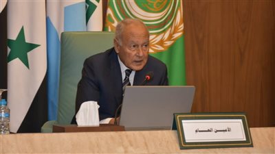 أبو الغيط: الشعب الفلسطيني يتعرض لحرب إبادة في كل مكان