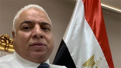 علاء نصر الدين: الارتفاع المضطرد في حجم الصادرات المصرية يعكس زيادة الإنتاج