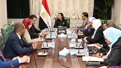 وزيرة التضامن توجه بتشكيل لجنة لبناء قاعدة بيانات شاملة للأشخاص ذوي الإعاقة