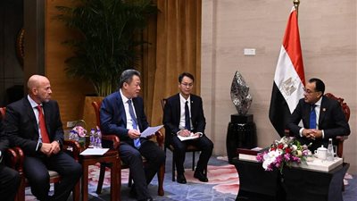 رئيس الوزراء: الحكومة المصرية ستقدم الدعم لقيام شركة 