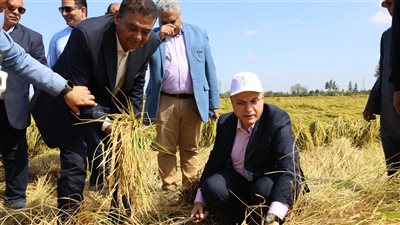 خطط ضبط منظومة الأرز لتوفير احتياجات المواطنين.. بيان رسمي من وزير التموين
