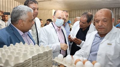 مشروع الـ
