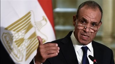 بدون دبلوماسية.. كيف رد وزير الخارجية على أسئلة الوفد الدنماركي بشأن الأنفاق