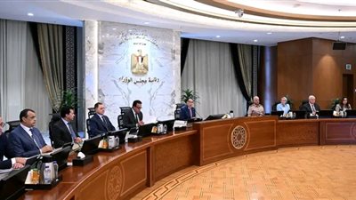 المالية: رفع حد الإعفاء من تقديم دراسة تسعير المعاملات للشركات الدولية لـ30 مليون جنيه