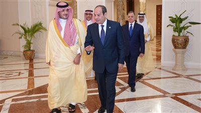 الرئيس السيسي يؤكد محورية دور مصر والسعودية كركيزة أساسية لاستقرار المنطقة