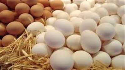 البيض التركي ينافس البلدي في الأسواق.. تعرف على الاختلافات في الجودة والوزن