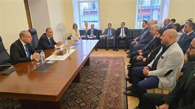 بالصور.. وزير الخارجية يؤكد التزام الدولة برعاية مصالح المصريين المقيمين بالخارج