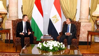 وزير الخارجية يعقد جلسة مباحثات مع نظيره المجري بالقاهرة