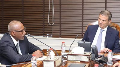 وزير الزراعة يبحث مع البعثة الإشرافية للإيفاد جهود تنمية البيئات الصحراوية في مطروح