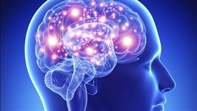 استعداداً للعام الدراسي الجديد..استراتيجيات لتعزيز الذاكرة