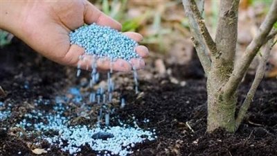 نقيب الزراعيين يحذر: تراجع إنتاج الأسمدة 20% يهدد الأمن الغذائي العالمي