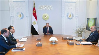الرئيس السيسي يوجه بمواصلة جهود تحسين خدمات الكهرباء للاستخدامات المختلفة