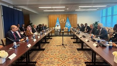 وزير الخارجية يشارك في إجتماع اللجنة العربية الإسلامية مع السكرتير العام للأمم المتحدة