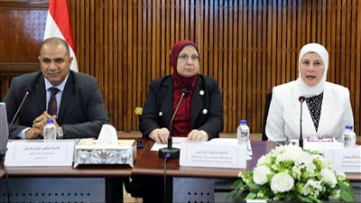 العنف الأسرى: الأسباب والتداعيات وسبل المواجهة 