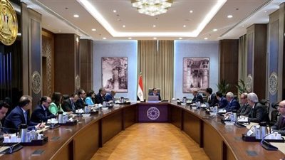 رئيس الوزراء يبحث مع وفد تحالف عالمى توطين صناعة مكونات المحللات الكهربائية 