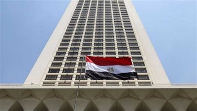 الخارجية: عام استثنائي من النجاحات الانتخابية الدولية للدبلوماسية المصرية