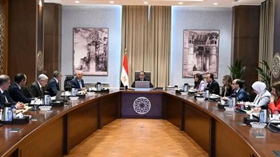 رئيس الوزراء يلتقي مسئولي شركة 