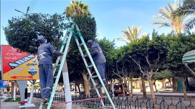 حملات نظافة وجولات ميدانية بدسوق كفرالشيخ 