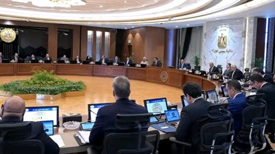 قرار هام من مجلس الوزراء بشأن استيراد سيارات ذوى الهمم