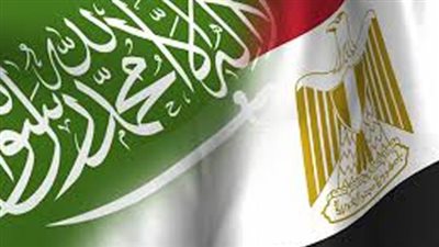 الإحصاء: 29.4 % ارتفاع الصادرات المصرية إلى السعودية خلال 8 أشهر