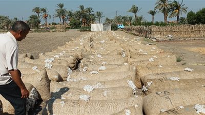 فتح جميع مراكز تجميع الاقطان بالوجه البحري
