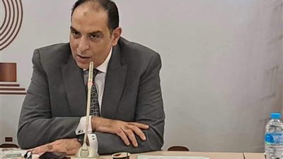لجنة الجمارك: زمن الافراج الجمركي شهد تحسنا كبيرا نتيجة توافر الدولار  