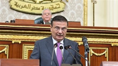 وزير الزراعة أمام النواب: قطاع الزراعة يحظى باهتمام بالغ ودعم غير مسبوق من الرئيس السيسي