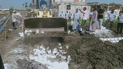 إزالة 570 حالة تعدٍ واسترداد 367 فدانًا ضمن المرحلة الأولى من الموجة 24 بالمنيا 