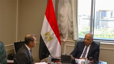 وزير الكهرباء يبحث مع الشركة العربية للهندسة جودة التشغيل وخفض استهلاك الوقود     