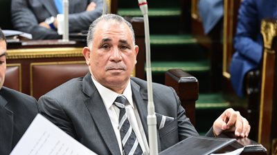 نقيب المحامين أمام الجلسة العامة لمجلس النواب: المحاماة شريك للسلطة القضائية