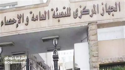 الإحصاء: 56 مليار جنيه حجم القروض الاستثمارية في القطاع الزراعي خلال 2023/2024