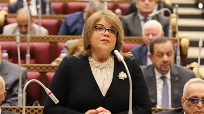 وكيلة مجلس الشيوخ: القمة العربية تؤكد الدور التاريخي لمصر في دعم فلسطين