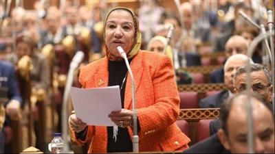 برلمانية: مصر تواجه شائعات تهدف إلى عدم استقرار الدولة