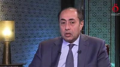 أمين عام مساعد الجامعة العربية: مصر أجهضت مخطط إسرائيل لتهجير الفلسطينيين قسريًا