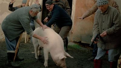 اليوم.. عرض فيلم 
