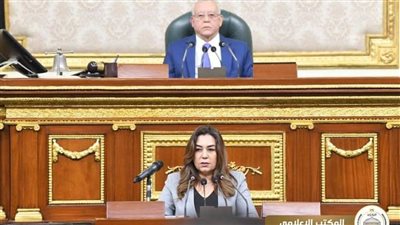 مجلس النواب يوافق نهائيًا على قانون لجوء الأجانب