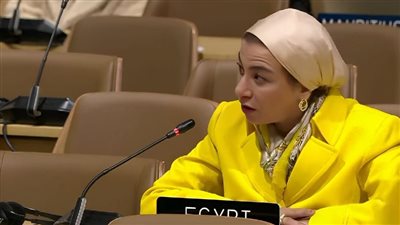 وزير البيئة تشارك في جلسة الرئاسة الأذربيجانية لمؤتمر المناخ COP29
