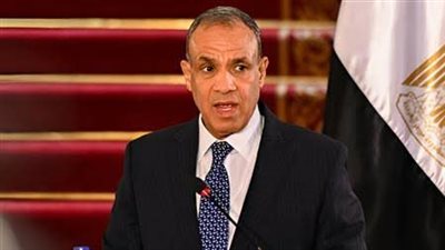 وزير الخارجية: الحكومة المصرية حريصة على تقديم كل الدعم والرعاية لأبناء الوطن بالخارج