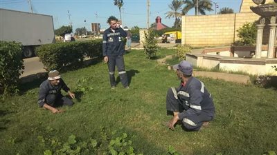 محافظ كفرالشيخ يتابع جهود زراعة الأشجار بدسوق 