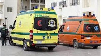 «مش فاهم بيقولوا ايه»..صيني يدهس فرد أمن وتعذر الاستجواب بسبب 