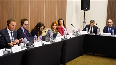 التخطيط تشارك بورشة عمل حول أفضل الممارسات للاستثمار في البنية التحتية بمصر