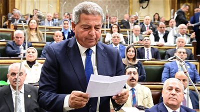 رئيس الأعلى للإعلام يؤكد أهمية رفع الوعي بحقوق المبدعين للحفاظ على الإرث الثقافي