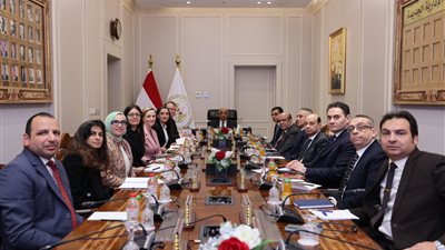 وزير العدل يستقبل مدير مكتب منظمة العمل الدولية بالقاهرة