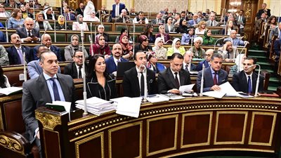 مجلس النواب يوافق مبدئيًا على مشروع قانون الضمان الاجتماعي والدعم النقدي