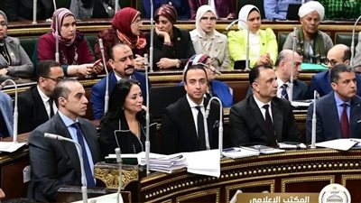  الموافقة على المشروع المُقدم من الحكومة بإصدار قانون الضمان الاجتماعي والدعم النقدي
