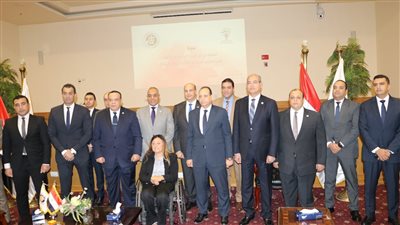 الدستورية العليا: نقل الالتزام بضريبة توريد الكهرباء إلى المستهلكين والتمييز الجغرافي يخالف الدستور