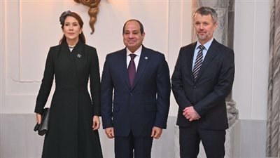 الرئيس السيسي: مناقشاتنا في الدنمارك عكست حرصا متبادلًا على التنسيق بشأن القضايا الإقليمية والدولية لإرساء الأمن