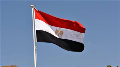 مصر تدعو لتبني عملية سياسية شاملة في سوريا