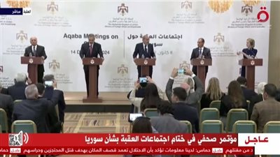 وزير الخارجية الأردني: يجب أن يشارك في العملية السياسية في سوريا مكونات الشعب كافة